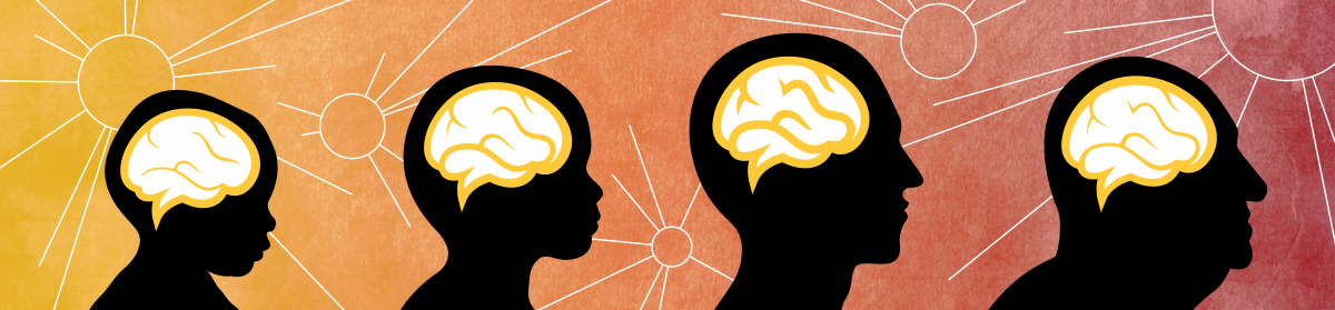 Developmental Cognition and Neuroimaging Lab